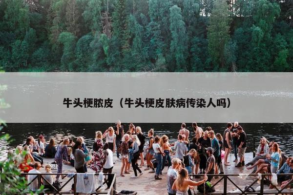 牛头梗脓皮（牛头梗皮肤病传染人吗）