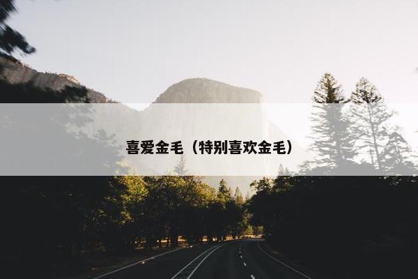 喜爱金毛（特别喜欢金毛）