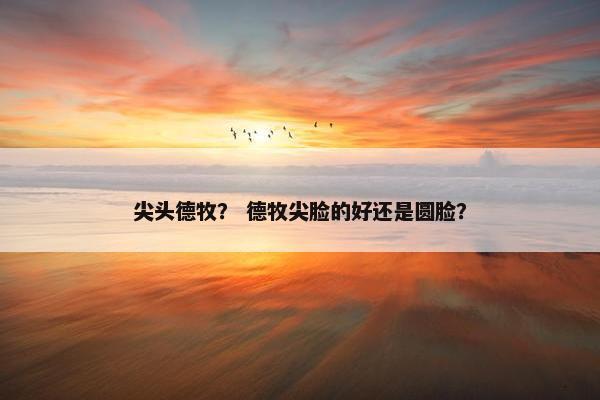 尖头德牧？ 德牧尖脸的好还是圆脸？
