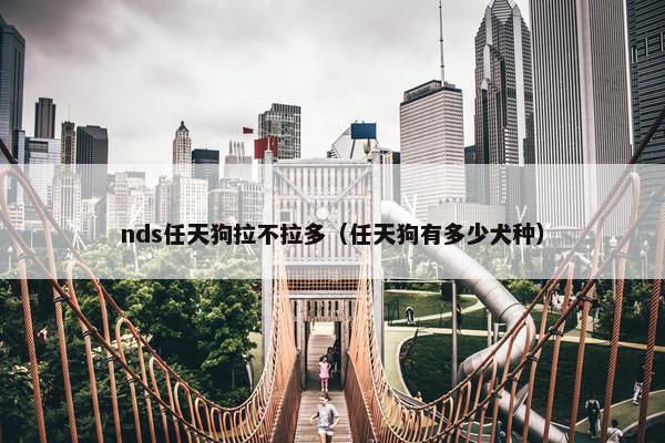 nds任天狗拉不拉多（任天狗有多少犬种）