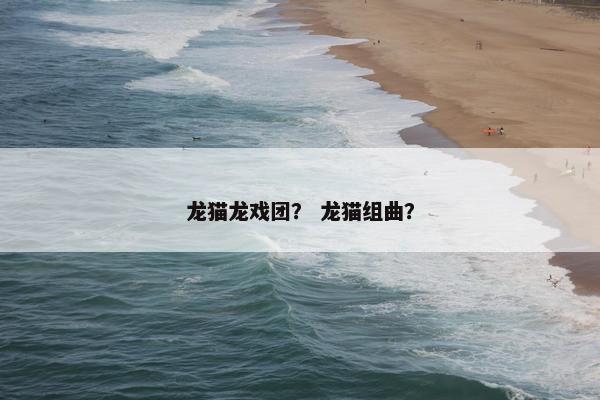 龙猫龙戏团？ 龙猫组曲？