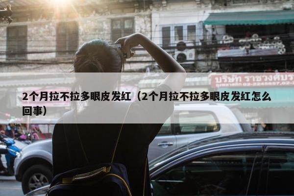 2个月拉不拉多眼皮发红（2个月拉不拉多眼皮发红怎么回事）