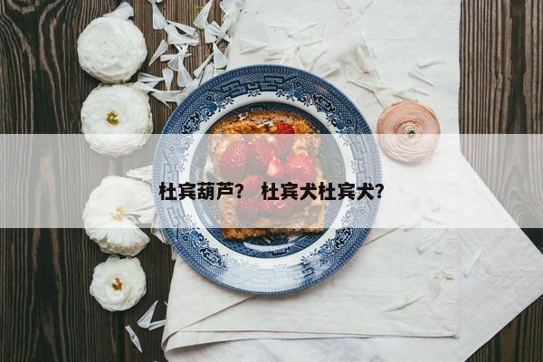 杜宾葫芦？ 杜宾犬杜宾犬？