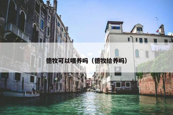 德牧可以喂养吗（德牧给养吗）