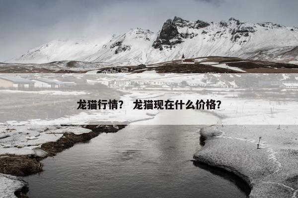 龙猫行情？ 龙猫现在什么价格？