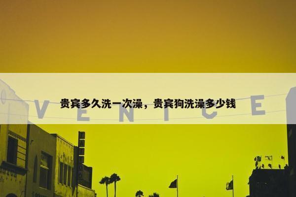 贵宾多久洗一次澡，贵宾狗洗澡多少钱