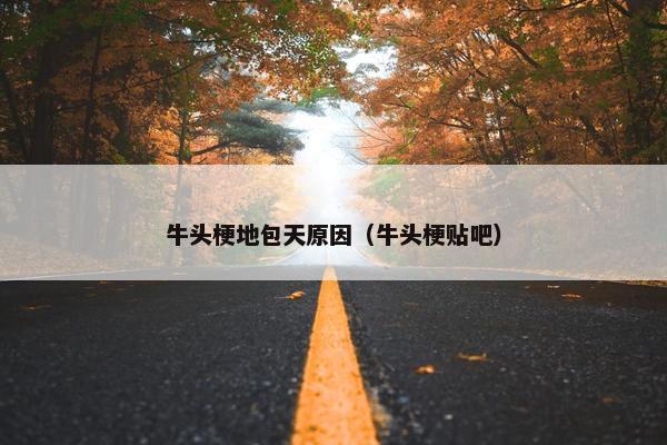 牛头梗地包天原因（牛头梗贴吧）