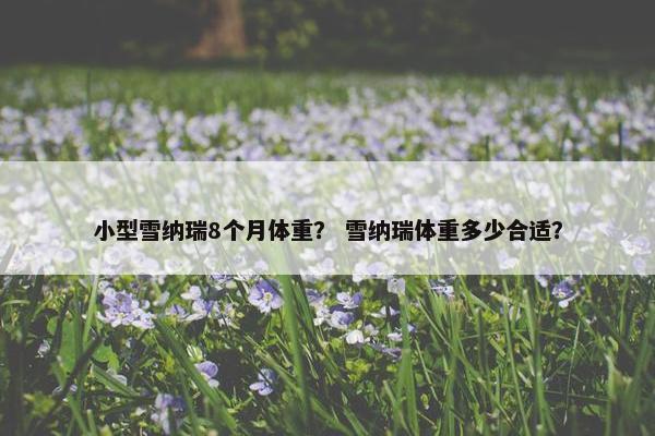 小型雪纳瑞8个月体重？ 雪纳瑞体重多少合适？