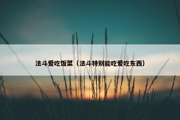 法斗爱吃饭菜（法斗特别能吃爱吃东西）