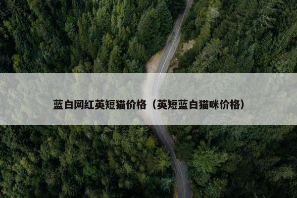 蓝白网红英短猫价格（英短蓝白猫咪价格）