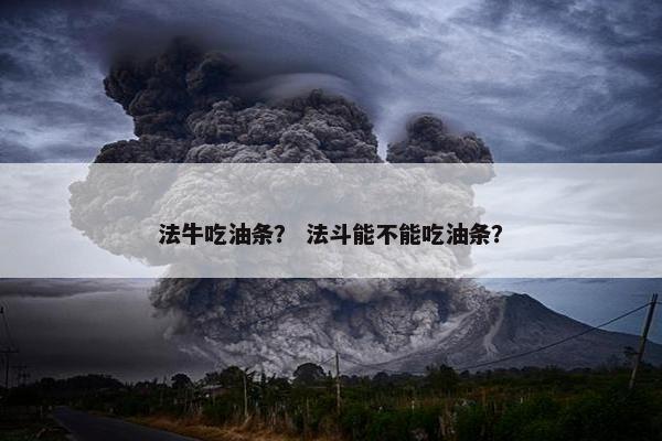 法牛吃油条？ 法斗能不能吃油条？