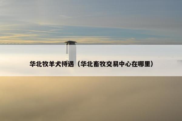 华北牧羊犬待遇（华北畜牧交易中心在哪里）