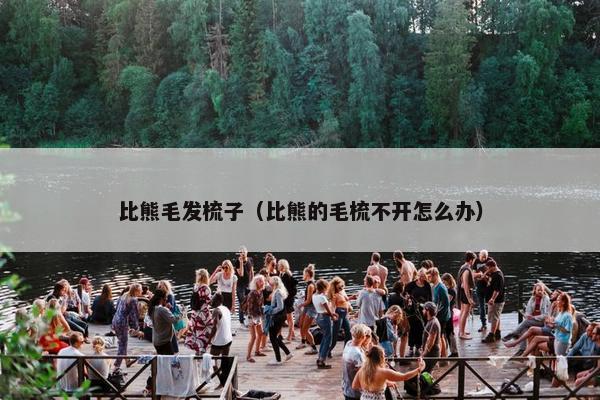 比熊毛发梳子（比熊的毛梳不开怎么办）