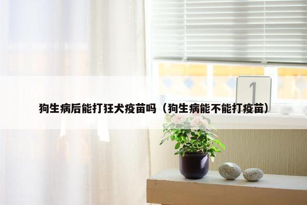 狗生病后能打狂犬疫苗吗（狗生病能不能打疫苗）