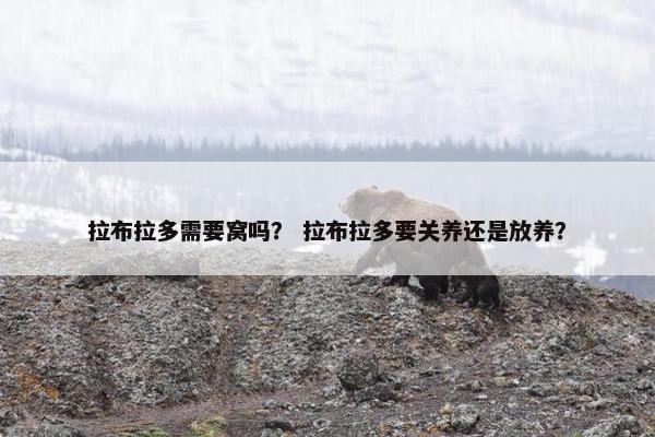 拉布拉多需要窝吗？ 拉布拉多要关养还是放养？