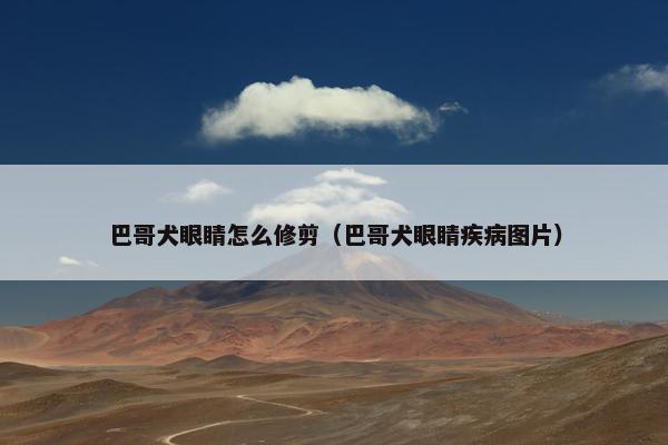 巴哥犬眼睛怎么修剪（巴哥犬眼睛疾病图片）