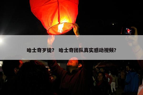 哈士奇歹徒？ 哈士奇团队真实感动视频？