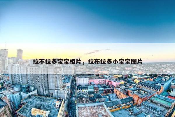 拉不拉多宝宝相片，拉布拉多小宝宝图片
