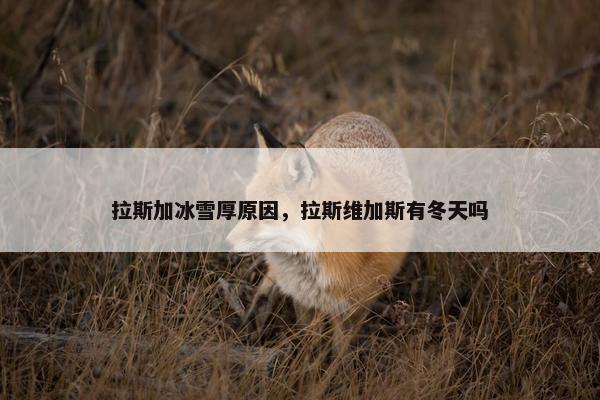 拉斯加冰雪厚原因，拉斯维加斯有冬天吗