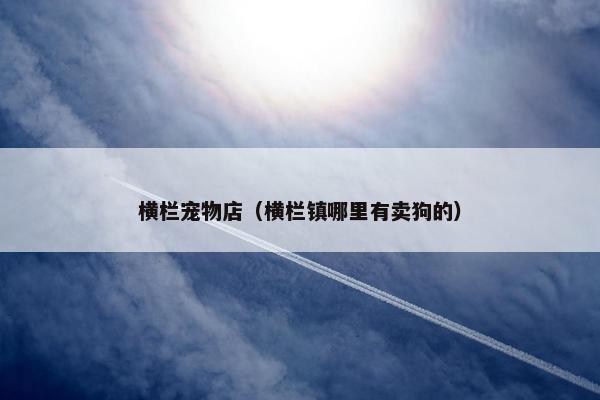 横栏宠物店（横栏镇哪里有卖狗的）