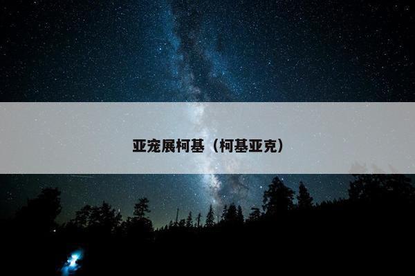亚宠展柯基（柯基亚克）