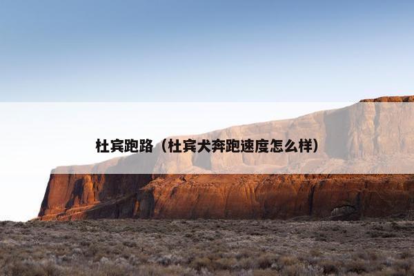杜宾跑路（杜宾犬奔跑速度怎么样）