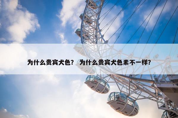 为什么贵宾犬色？ 为什么贵宾犬色素不一样？