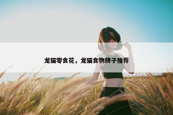 龙猫零食花，龙猫食物牌子推荐