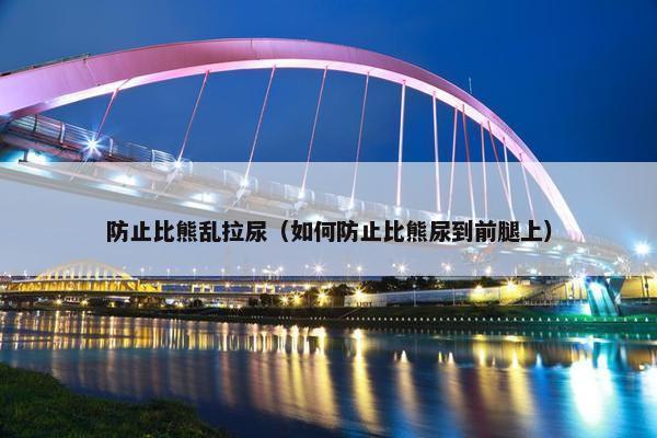 防止比熊乱拉尿（如何防止比熊尿到前腿上）