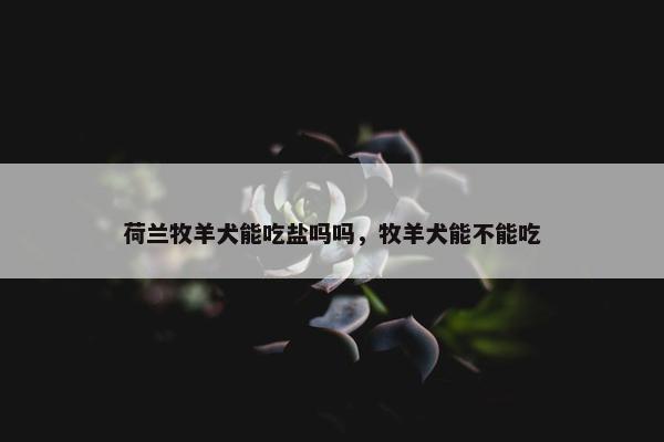 荷兰牧羊犬能吃盐吗吗，牧羊犬能不能吃