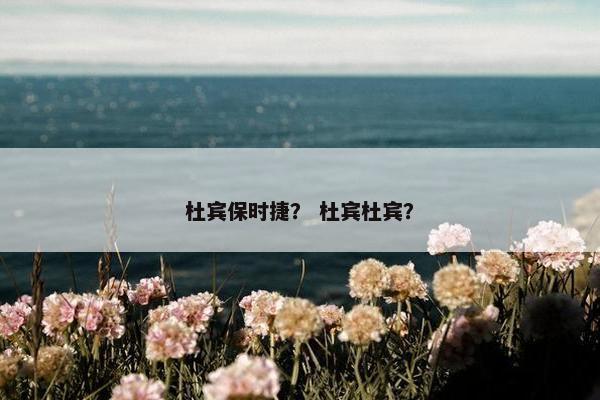 杜宾保时捷？ 杜宾杜宾？