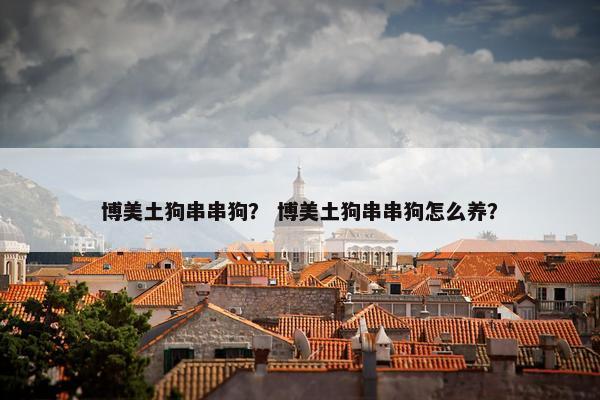 博美土狗串串狗？ 博美土狗串串狗怎么养？