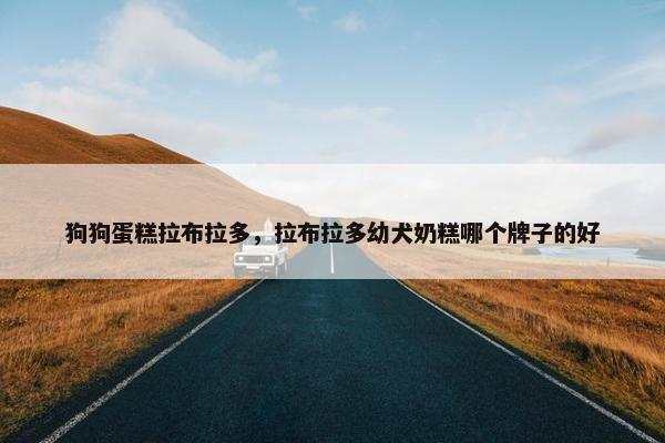 狗狗蛋糕拉布拉多，拉布拉多幼犬奶糕哪个牌子的好