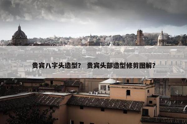 贵宾八字头造型？ 贵宾头部造型修剪图解？