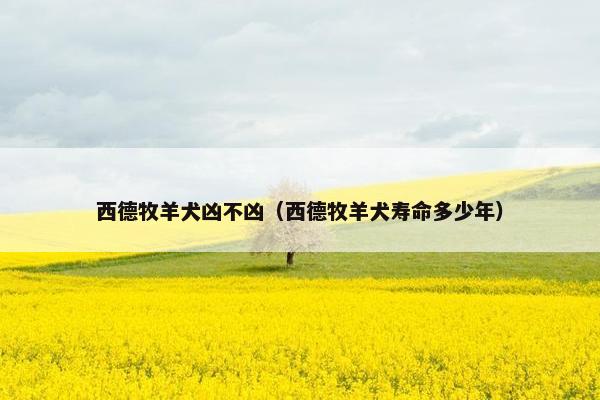 西德牧羊犬凶不凶（西德牧羊犬寿命多少年）