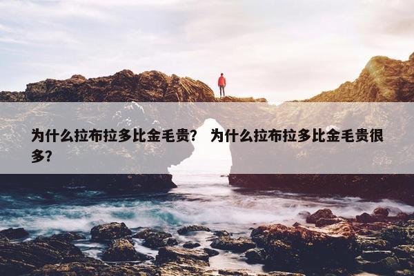 为什么拉布拉多比金毛贵？ 为什么拉布拉多比金毛贵很多？
