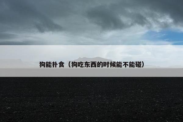 狗能扑食（狗吃东西的时候能不能碰）