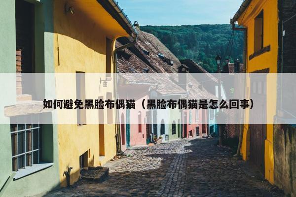 如何避免黑脸布偶猫（黑脸布偶猫是怎么回事）