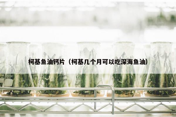 柯基鱼油钙片（柯基几个月可以吃深海鱼油）