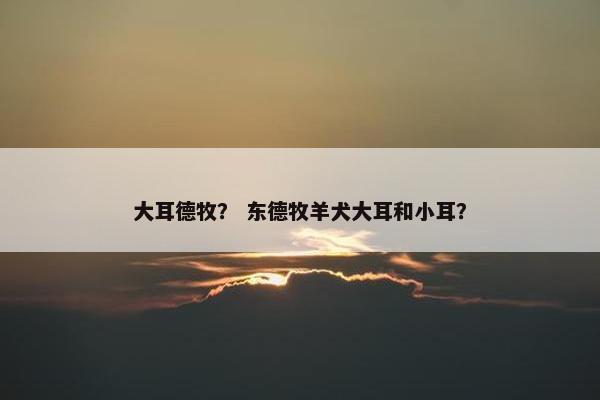 大耳德牧？ 东德牧羊犬大耳和小耳？