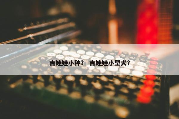 吉娃娃小种？ 吉娃娃小型犬？