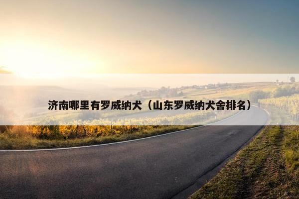 济南哪里有罗威纳犬（山东罗威纳犬舍排名）