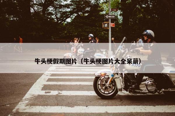 牛头梗假期图片（牛头梗图片大全呆萌）