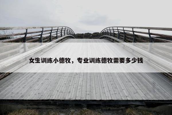 女生训练小德牧，专业训练德牧需要多少钱