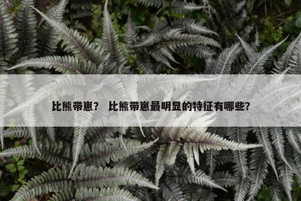 比熊带崽？ 比熊带崽最明显的特征有哪些？