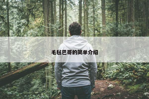 毛毡巴哥的简单介绍