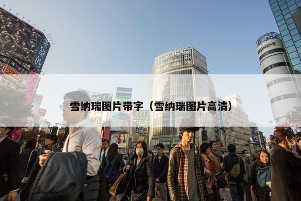 雪纳瑞图片带字（雪纳瑞图片高清）