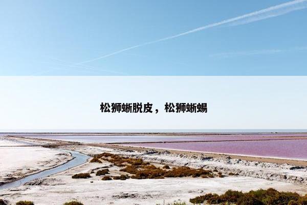 松狮蜥脱皮，松狮蜥蜴