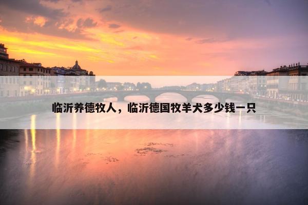 临沂养德牧人，临沂德国牧羊犬多少钱一只