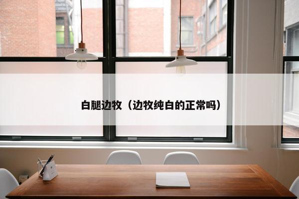 白腿边牧（边牧纯白的正常吗）